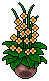 Classic Lounge plant