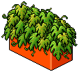 Habburgers Plant Divider