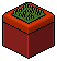 Classic BB plant