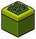 Classic BB plant