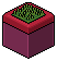 Classic BB plant