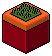 Classic BB plant