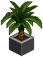HC Lounge Plant