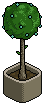 Library Plant