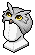 Owl Beanie