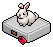 Bunny Companion