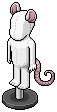 Rat Accessories