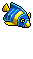 Angelfish