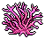 Pink Staghorn Coral