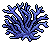 Blue Staghorn Coral