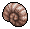 Sandy Spiral Shell