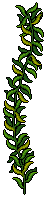 Coral Kingdom Kelp