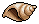 Sandy Conch Shell