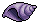 Violet Conch Shell