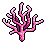 Pink Elkhorn Coral
