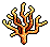 Yellow Elkhorn Coral