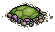 Sea Turtle
