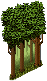 Forest Wall