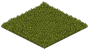 Grass Patch