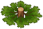 Tree Trunk