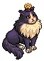 Dark Elegant Cat
