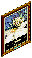 The Bonnie Ballet