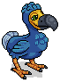 Donald the Dodo