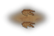 Three-toed Dino Footprint