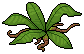 Leafy Crawler