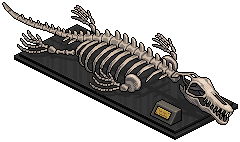 Mosasaur Skeleton