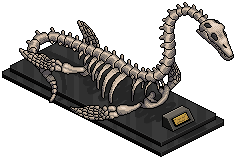 Plesiosaur Skeleton