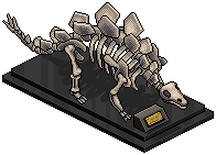 Stegosaurus Skeleton