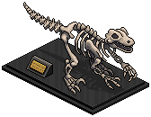 Velociraptor Skeleton