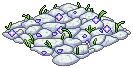 Dreamer’s Floor
