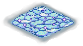 Dreamer’s Water Floor