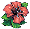 Red Flower