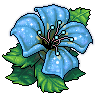 Blue Flower