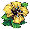 Yellow Flower