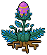 Egg Plant