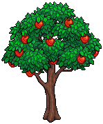 Apple Tree
