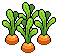 Carrots