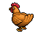 Plump Chicken