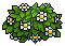 Flowering Bush