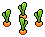 Sprouting Plants
