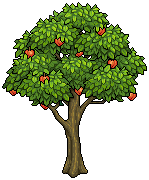 Peach Tree