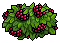 Raspberry Bush