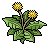 Grubby Weed