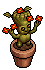 Lil' Dancing Plant
