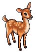 Easter Fawn