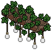 Ivy Beam Lights